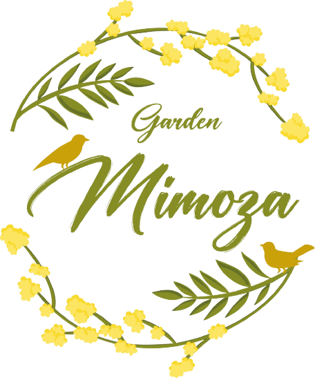 Garden Mimoza