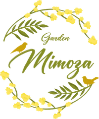 Garden Mimoza